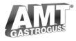 logo-AMT